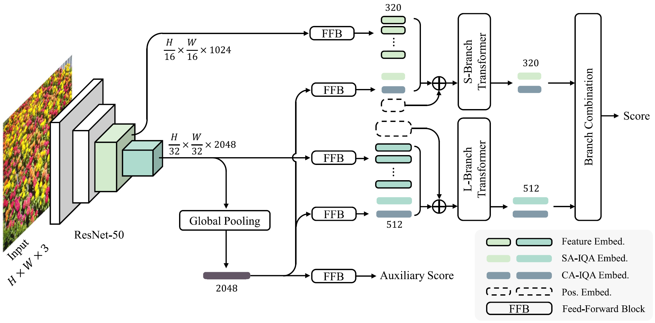 Dual-branch vision transformer for BIQA
